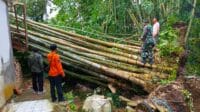IMG-20250130-WA0013