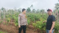 IMG-20250130-WA0022