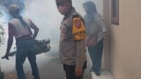 IMG-20250207-WA0022