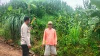 IMG-20250210-WA0014