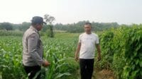 IMG-20250216-WA0009