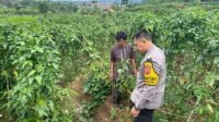 IMG-20250219-WA0084