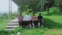 IMG-20250226-WA0018