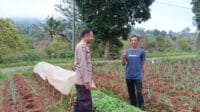 IMG-20250310-WA0017