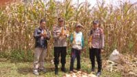 IMG-20250326-WA0089