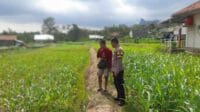 IMG-20250811-WA0179